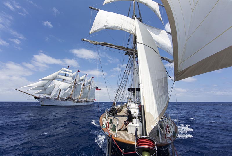 Sail Training Ship Young Endeavour