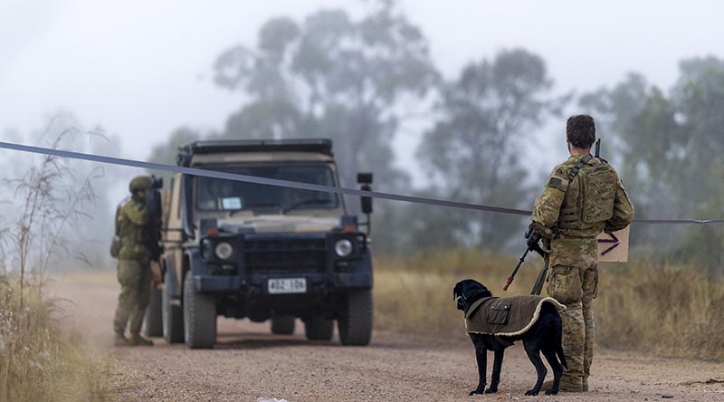Sapper Aidan Jones and his explosive detection dog, Yambo, during Exercise Brolga Run 2024 in Townsville Field Training Area, Queensland. Photo by Captain Brittany Evans.