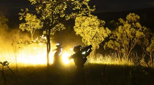 Soldiers from 1RAR fire Illumination rounds from an M4 Carl Gustav at Townsville Field Training Area, Queensland. Photo by Corporal  Brandon Grey.