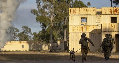An Australian Army soldier from 1st Military Police Battalion and his military working dog Petra alongside soldiers from Japan Ground Self-Defense Force during an assault at the Urban Operations Training Facility on Exercise Brolga Run 2024 at Townsville Field Training Area, Queensland. Photo by Captain Brittany Evans.