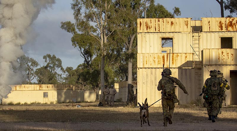 An Australian Army soldier from 1st Military Police Battalion and his military working dog Petra alongside soldiers from Japan Ground Self-Defense Force during an assault at the Urban Operations Training Facility on Exercise Brolga Run 2024 at Townsville Field Training Area, Queensland. Photo by Captain Brittany Evans.