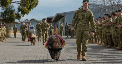 Pig mascots William and Elizabeth are farewelled by the 7th Battalion, Royal Australian Regiment at RAAF Base Edinburgh. Story and photos by Corporal Michael Rogers.