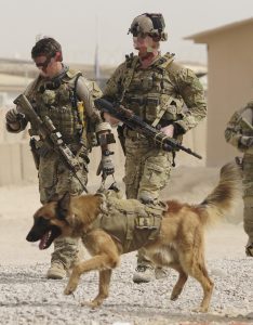 Australian Army special operations soldiers and military working dog 'Kuga' prepare for a Special Operations Task Group patrol in Afghanistan.