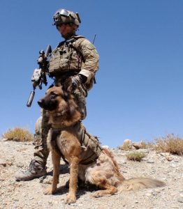 Sergeant 'J' from Special Operations Task Group with his military working dog 'Kuga' during a patrol in Afghanistan.