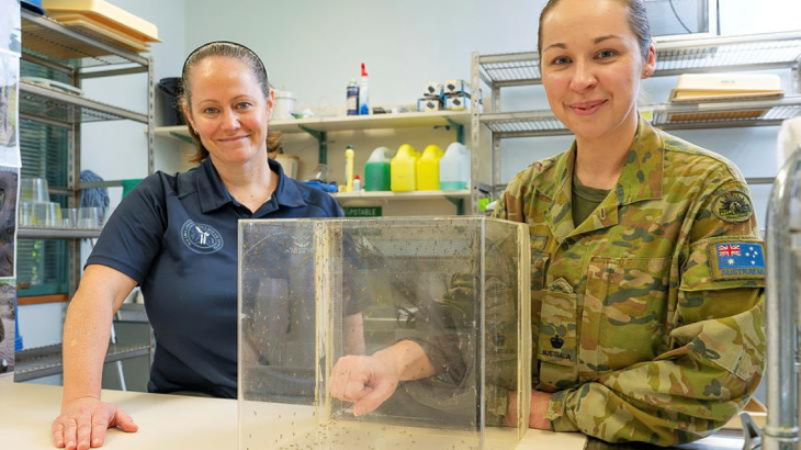 Major Lisa Rigby (right) and Ms Donna MacKenzie inspect mosquitos at the ADF Malaria and Infectious Disease Institute at Gallipoli Barracks in Enoggera, Brisbane. Story by Flight Lieutenant Marina Power. Photos by Lance Corporal Luke Donegan.