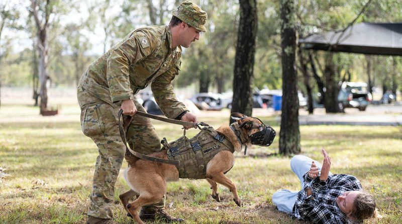 Private Daniel Mooney and military police dog Beretta during the Military Working Dog Handler Basic Course at RAAF Security and Fire School, RAAF Base Amberley, Ipswich. Story by Captain Nigel Jacobs. Photos by Lance Corporal Luke Donegan.