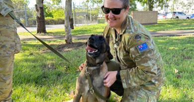 Veterinary officer in the ADF, Captain Alexandra Blecich, greets explosive detection dog Petra. Story by Flight Lieutenant Marina Power.