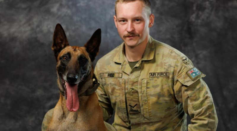 Air Force military working dog handler, Leading Aircraftman James Reid from 1 Security Forces Squadron, and retired military working dog Drak, at RAAF Base Williamtown. Story by Flight Lieutenant Grace Casey-Maughan. Photo byLeading Aircraftman Kurt Lewis.