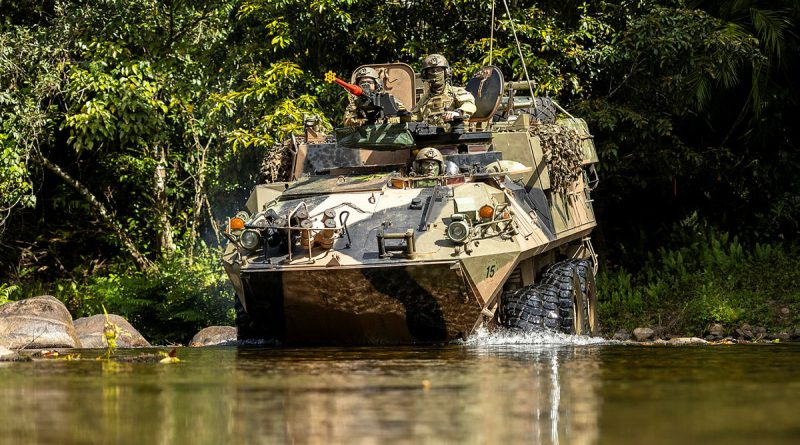 Cavalry comes to grips with jungle conditions