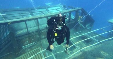 A Royal New Zealand Navy diver examines the wreck of HMNZS Manawanui. New Zealand Defence Force photo.