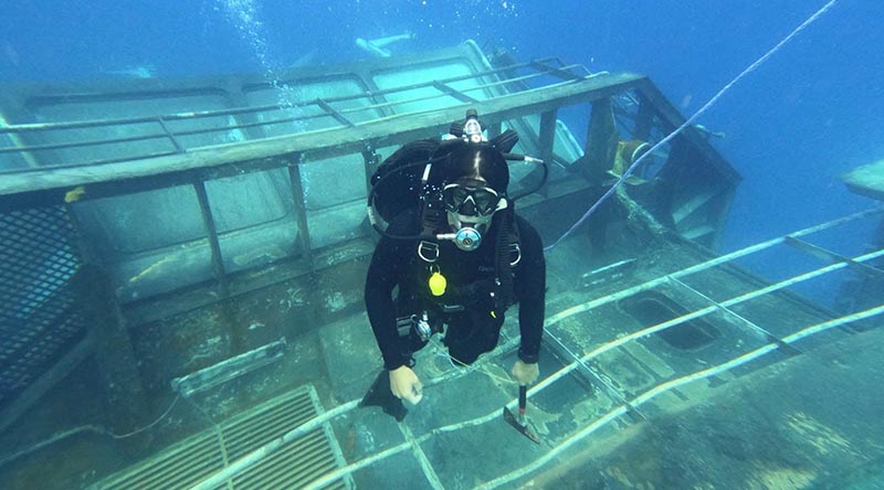 A Royal New Zealand Navy diver examines the wreck of HMNZS Manawanui. New Zealand Defence Force photo.