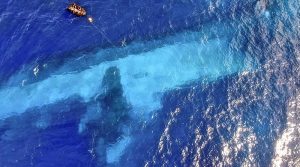 UAS footage of RNZN divers surveying the area around HMNZS Manawanui as part of Op Resolution. New Zealand Defence Force Photo.