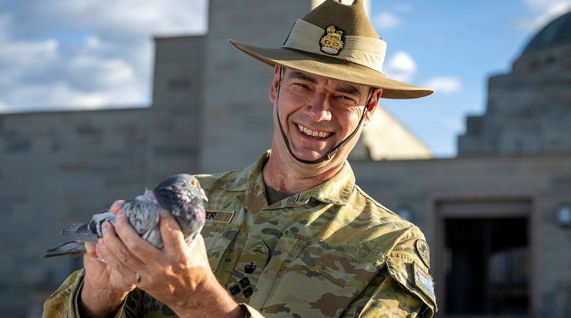 Brigadier Deane Limmer holds a Blue Bar Cock pigeon at the Australian War Memorial, Canberra. Story and photos by Corporal Jacob Joseph.