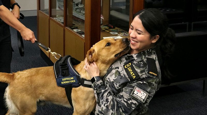 Seaman Charis Zapata gives Australian Border Force dog Magic a well-deserved hug and pat after a morning of training. Story and photos by Sub-Lieutenant Michael Edwards.