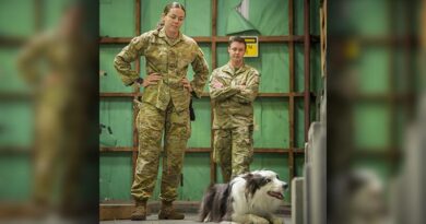 Australia's 3rd Combat Engineer Regiment Sapper Shonee Gelhaar and EDD Ash, who is indicating the presence of a target odour, is assisted by New Zealand Army's Lance Corporal Conor Woods. NZDF photo.
