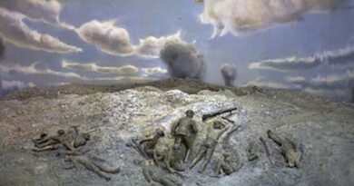 Pozières. ART41019, Australian War Memorial (cropped).