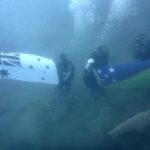 Diving for lethal treasure Diving for lethal treasure