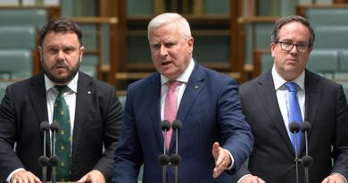 Composite image using stills from the House of Representatives broadcast of Monday’s debate on the $5000 DVA allied-health measure. Provided.