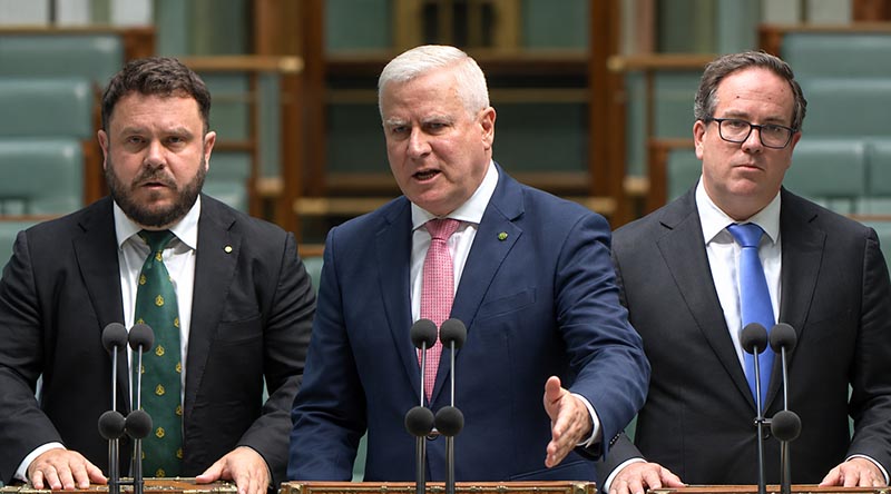 Composite image using stills from the House of Representatives broadcast of Monday’s debate on the $5000 DVA allied-health measure. Provided.